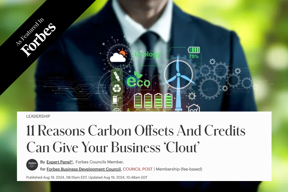 11 Reasons Carbon Offsets And Credits Can Give Your Business ‘Clout’