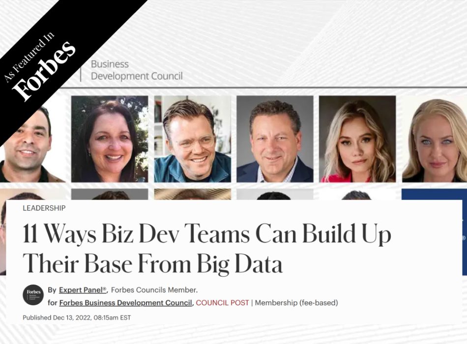 11 Ways Biz Dev Teams Can Build Up Their Base From Big Data