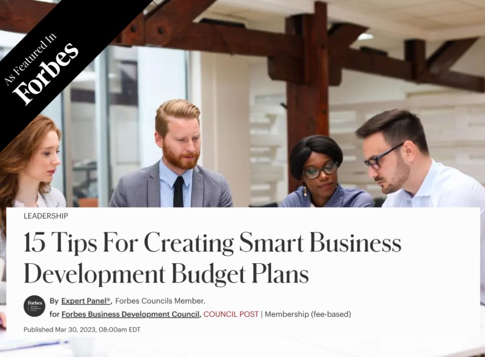 15 Tips For Creating Smart Business Development Budget Plans